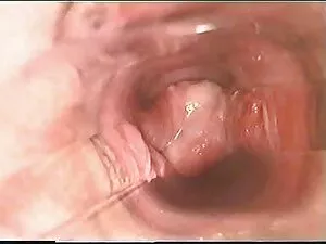 Stella sexy clips ko ...
